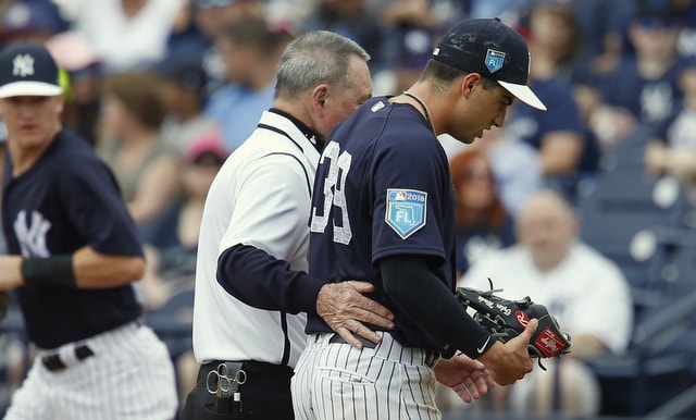 Bleeding Yankee Blue: WARNING TYLER WADE—BETTER NOT STEAL MY GUY